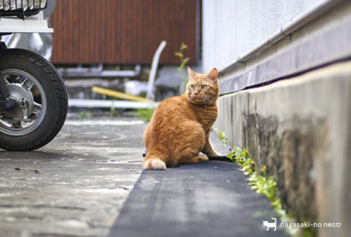 post card 091