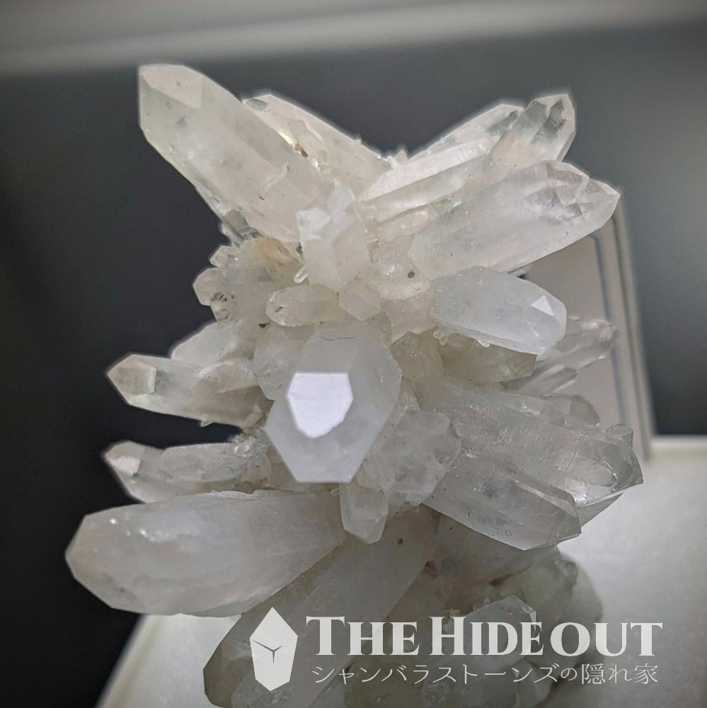 日本国産鉱物標本034 宮崎県臼杵郡日之影町乙ヶ淵（苔土フォイト電気石