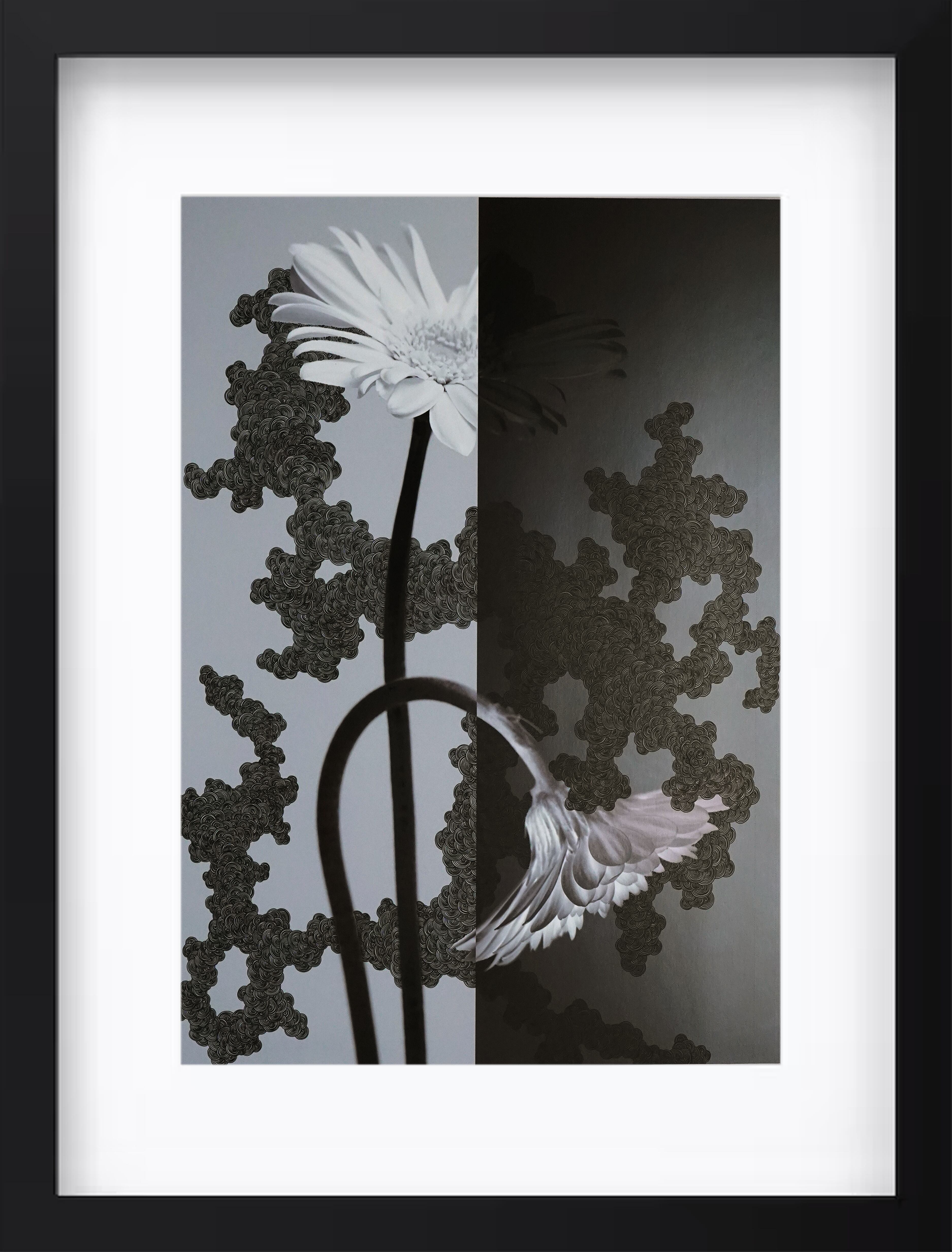 ガーベラ"希望と寂しさ"#1