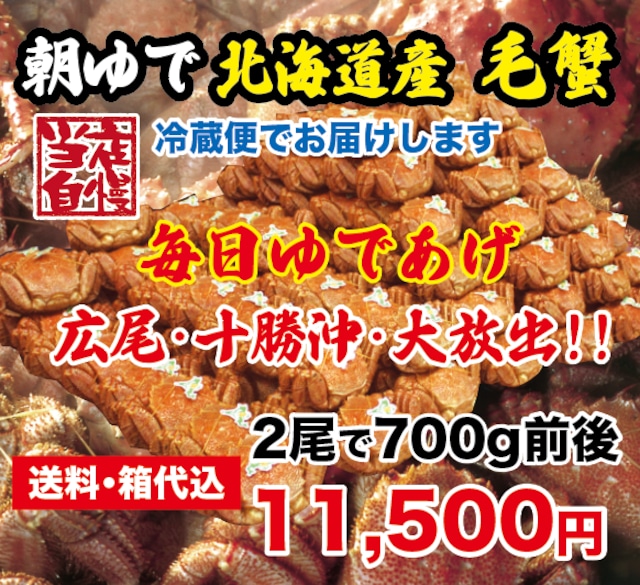 北海道産　朝ゆで毛蟹　2尾で700g前後　　【送料・箱代無料】