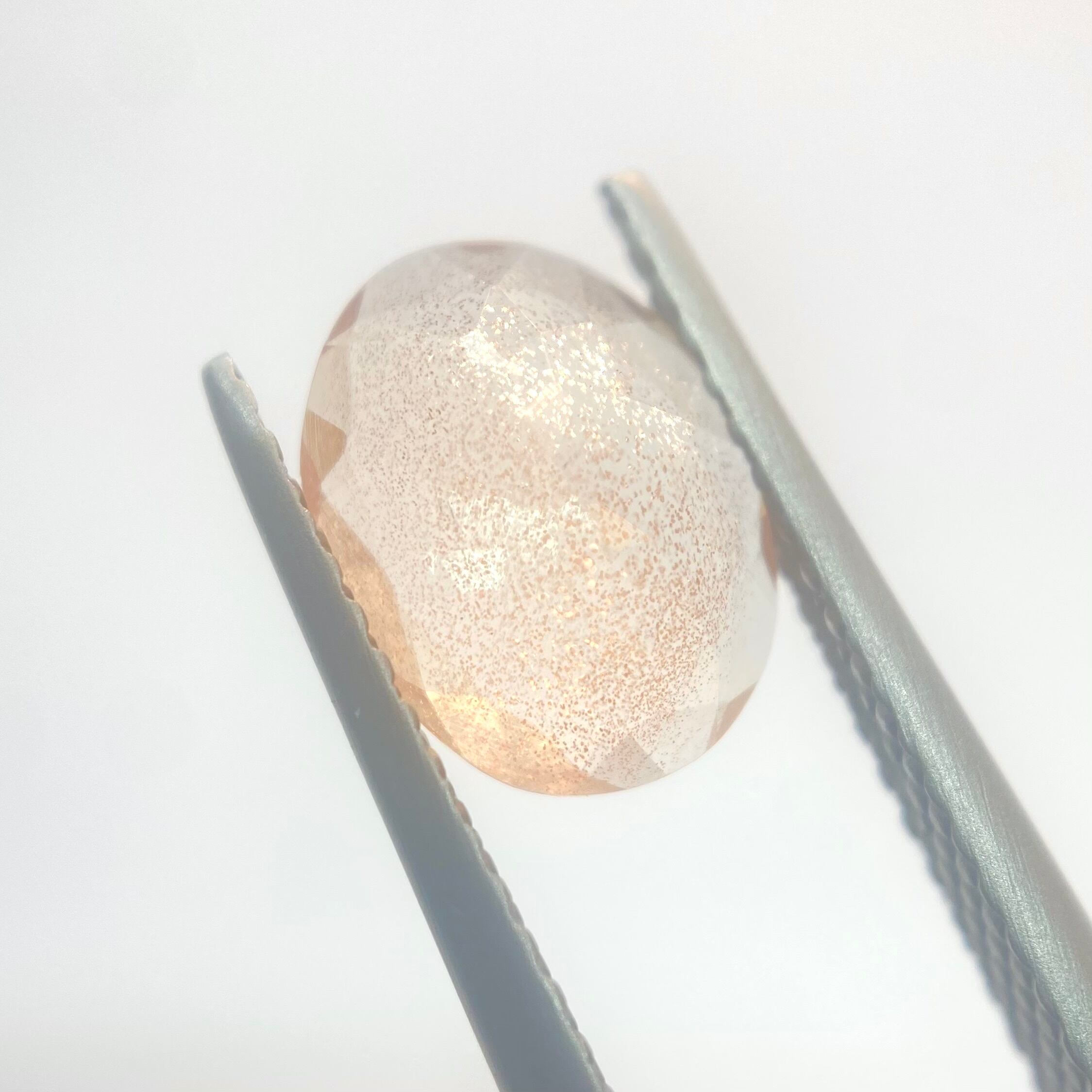 桜満開　オレゴンサンストーン