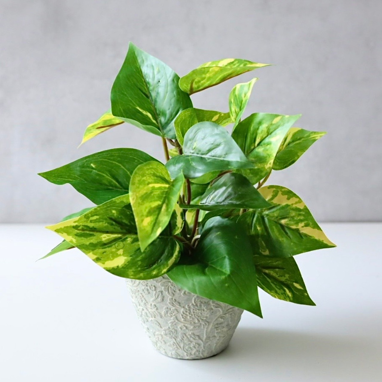 ポトス 斑入り フェイクグリーン 観葉植物 鉢植え 水やり不要 卓上 玄関 リビング