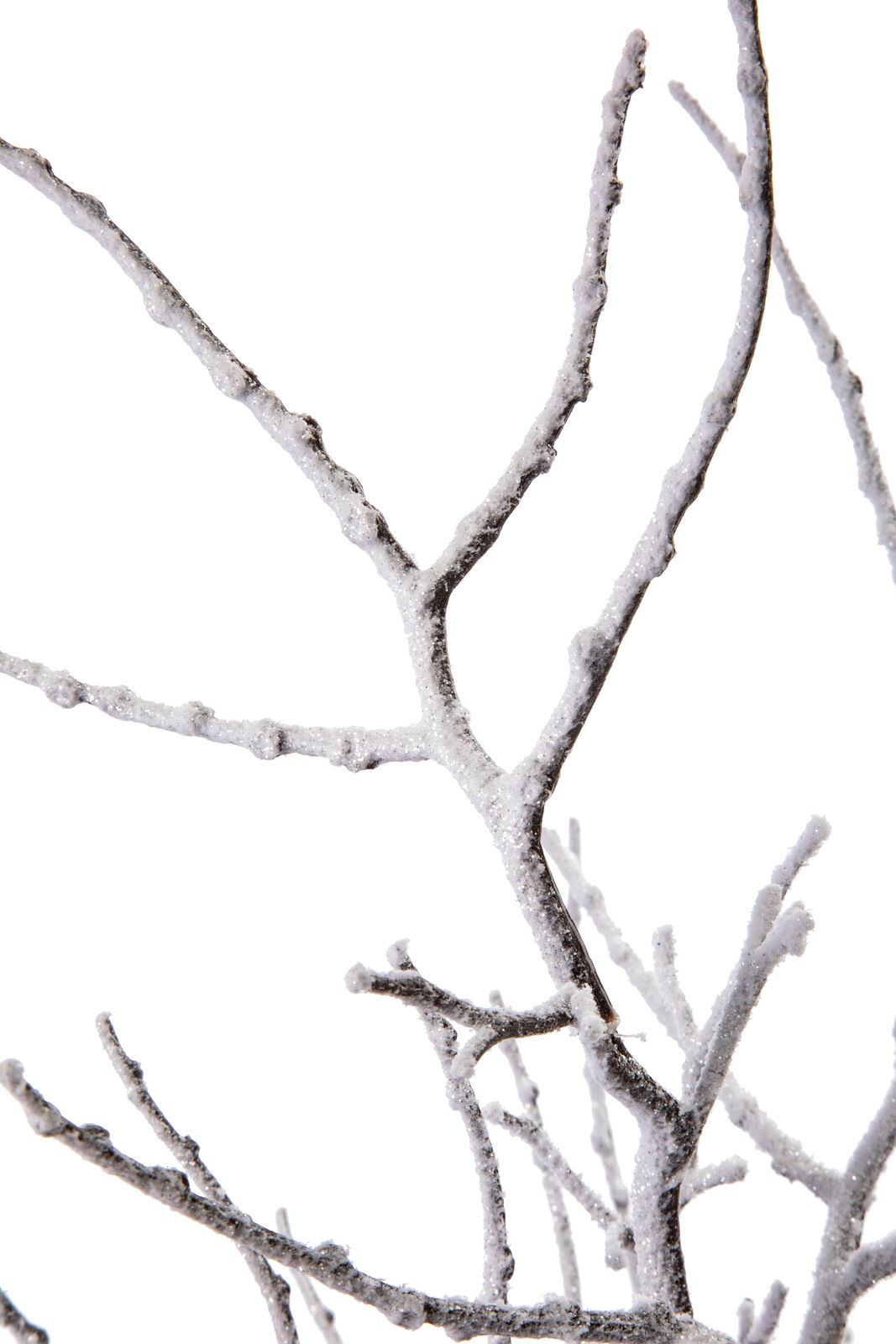 スノーアレカブランチ　　FS-6078WBR　4961823798986　造花（アーティフィシャルフラワー） > シーズン造花