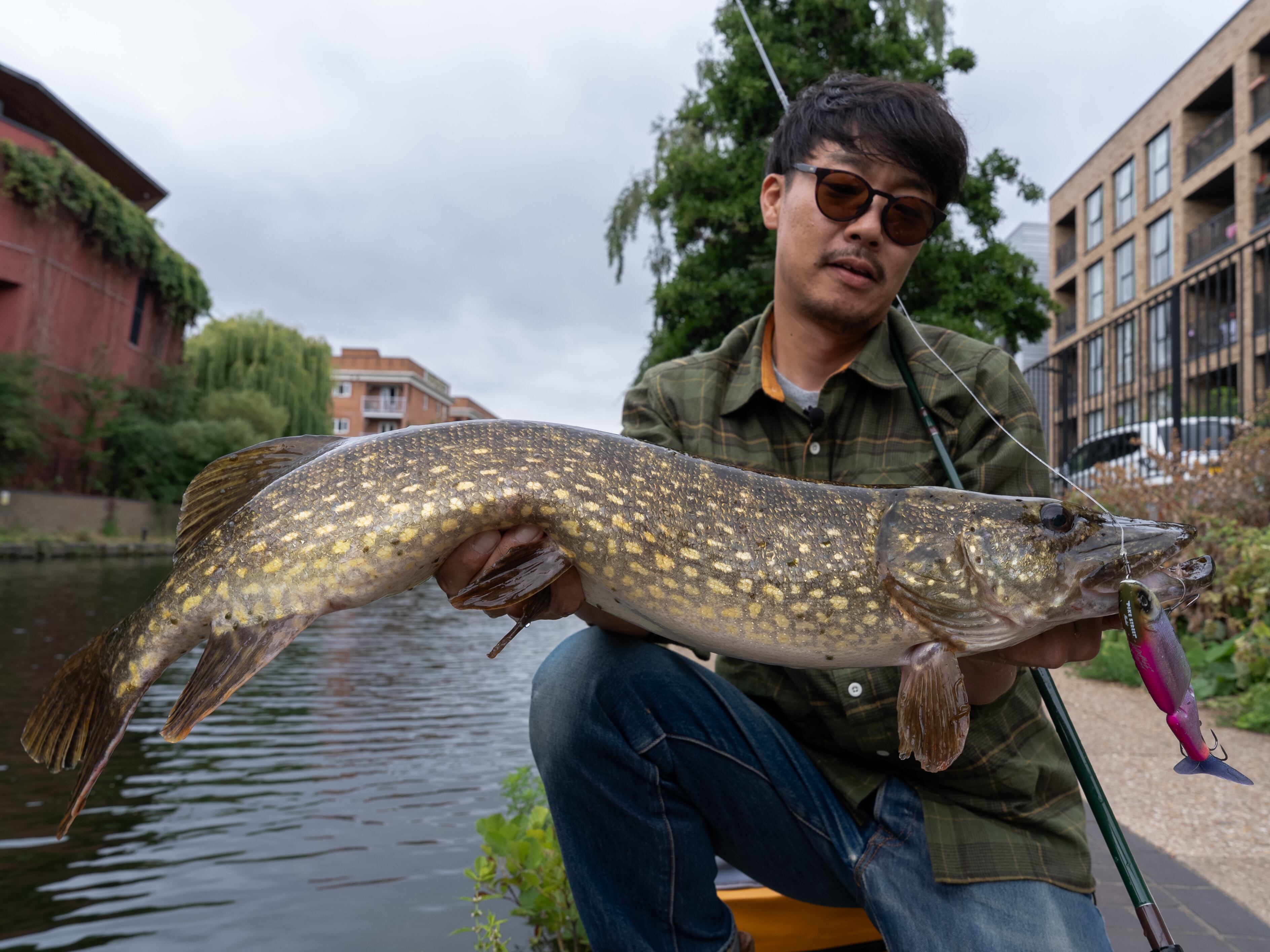 Fishman×PIKE STREET MARKET] OXFORD 7.7（送料込み） | Pike Street