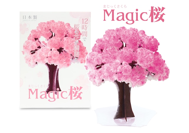 Magic桜