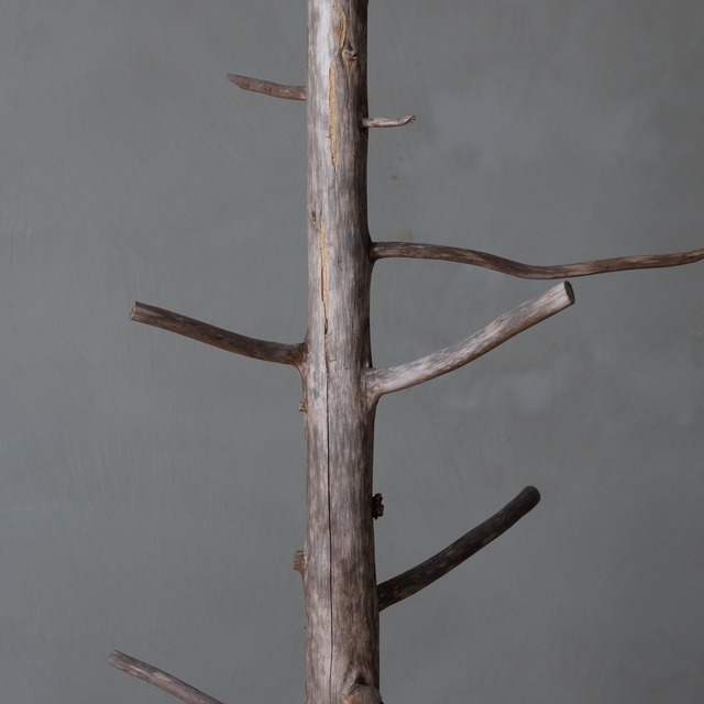 Branch object