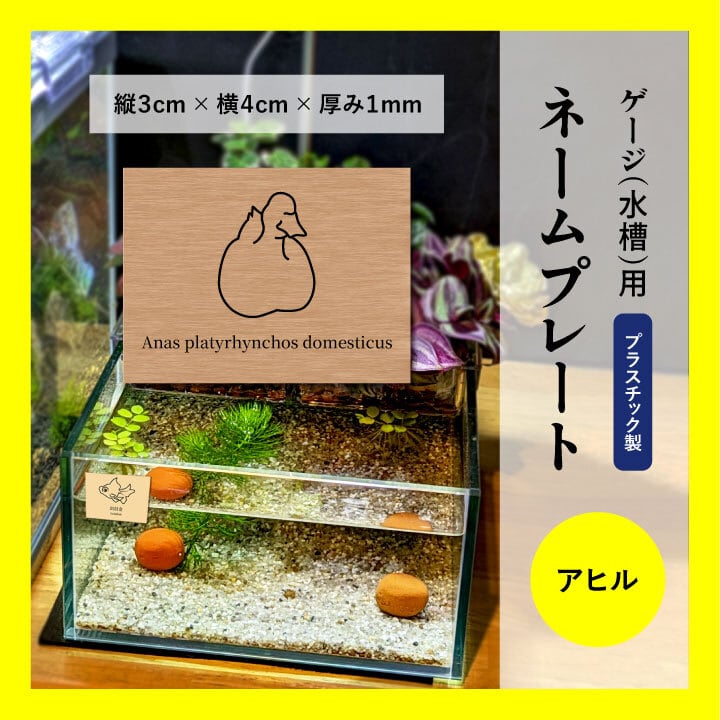 ゲージ・水槽用ネームプレート ☆ニジイロクワガタのイラスト入り