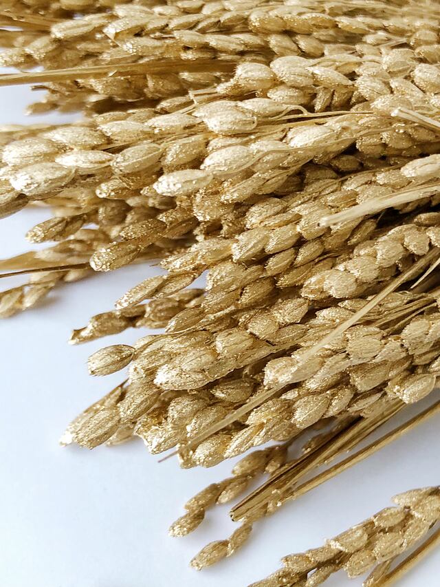 シェア花材☆イナホ ゴールド