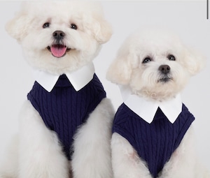 予約販売 Tidy Cape (navy )S/XL 韓国犬服 montie