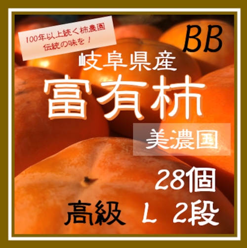 送料無料【贈答用】Ｌサイズ　2段28個　岐阜県産富有柿