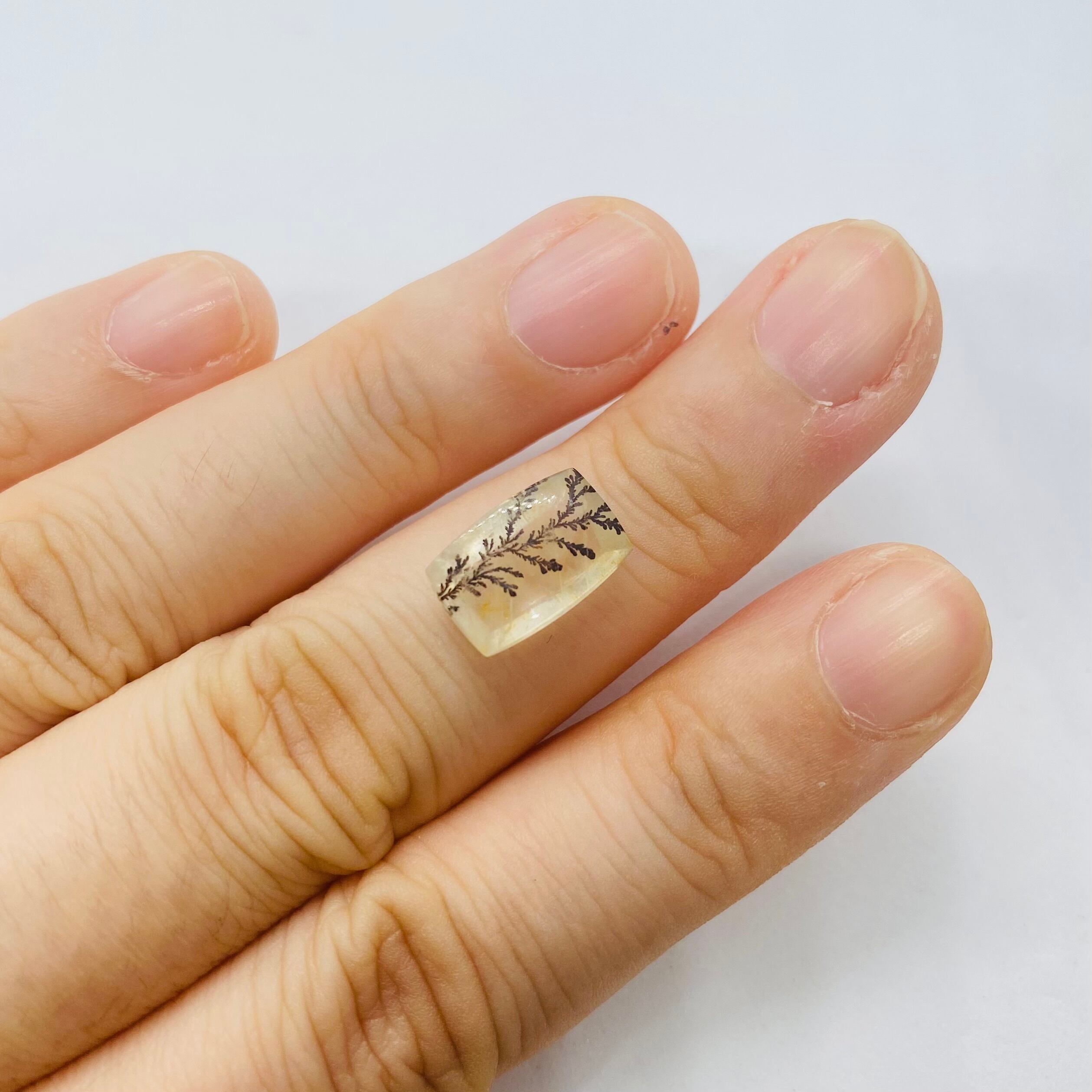 インスタライブご紹介　デンドリティッククオーツ