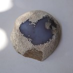 ほんのりパープルのアッシュトレイ