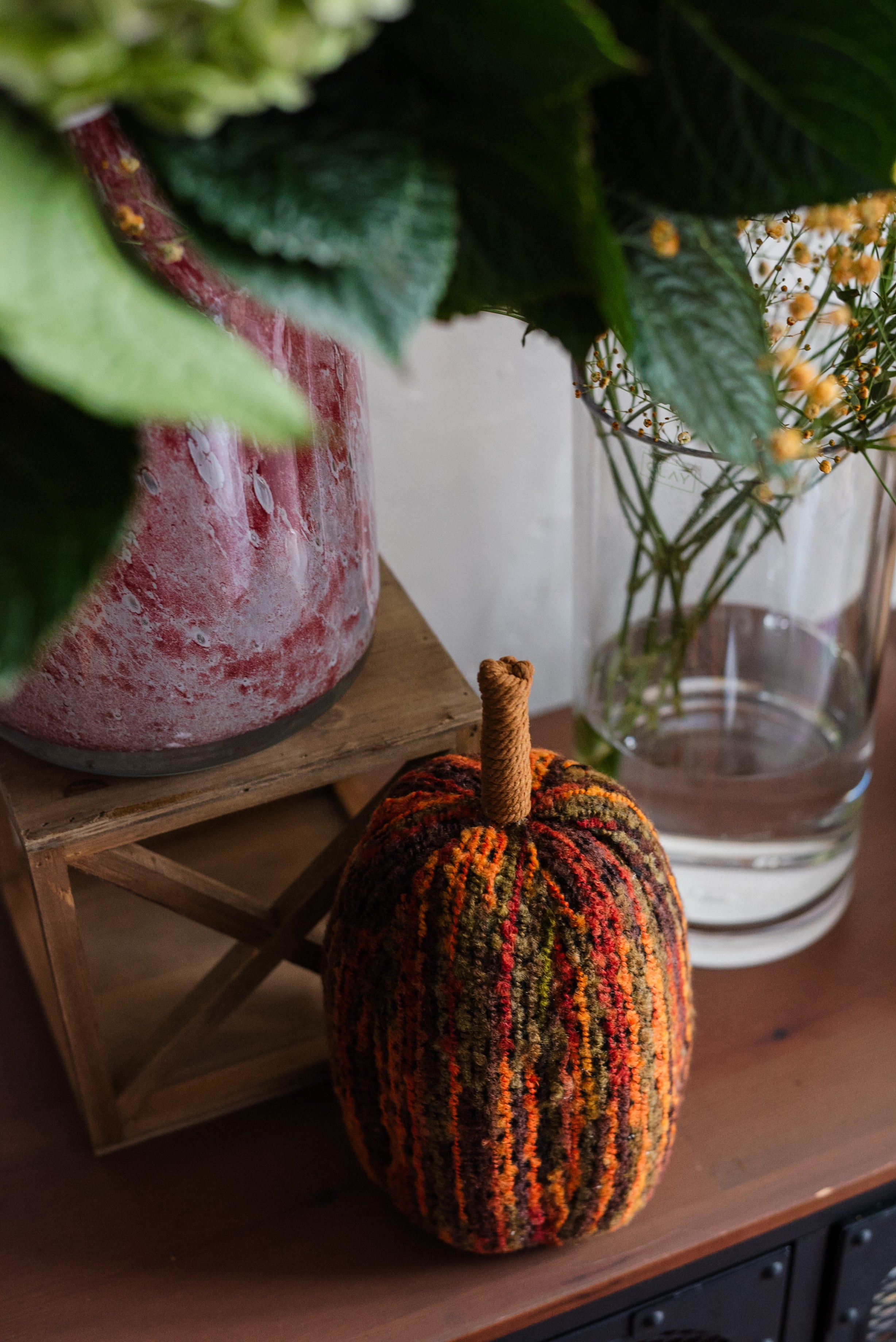 WORKSHOP #09｜2025.10.04 Sat. 開催 "レベル不問！季節の花と楽しむ写真レッスン"