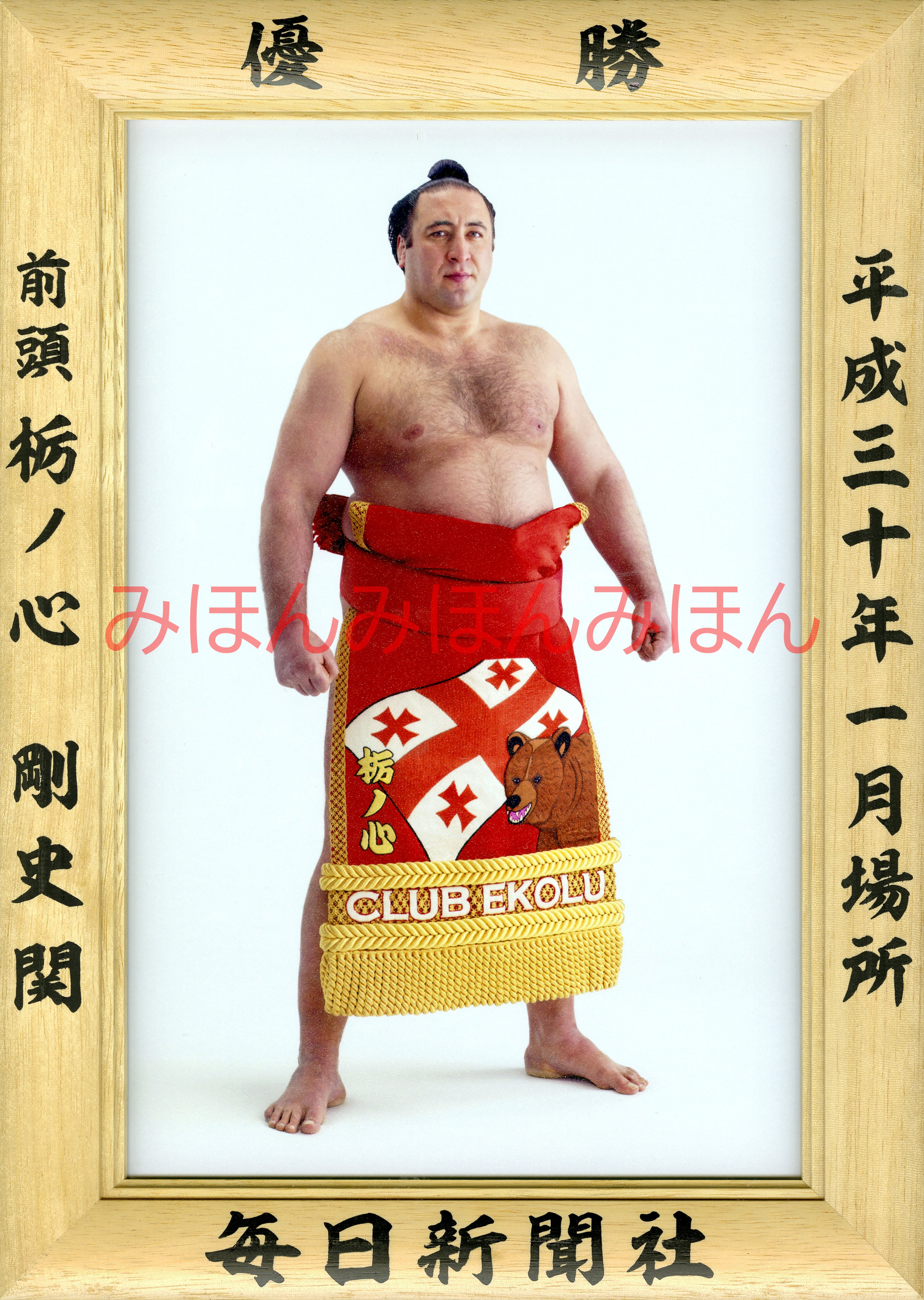 大相撲 大関 稀勢の里 優勝額ミニチュア 希少レア - スポーツ選手