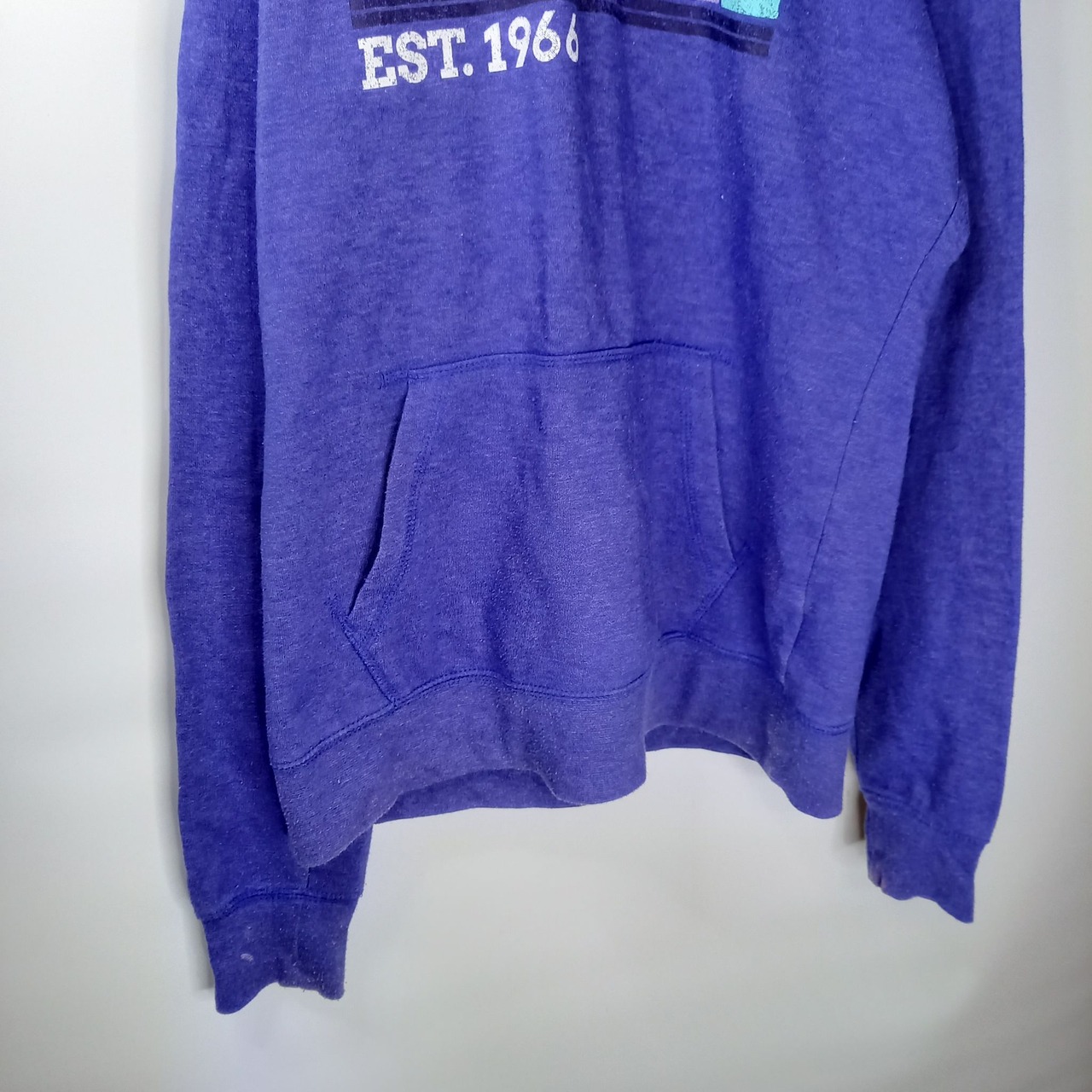 ノースフェイス　プルオーバーフーディー　パーカー　裏起毛　パープル　ビッグロゴM