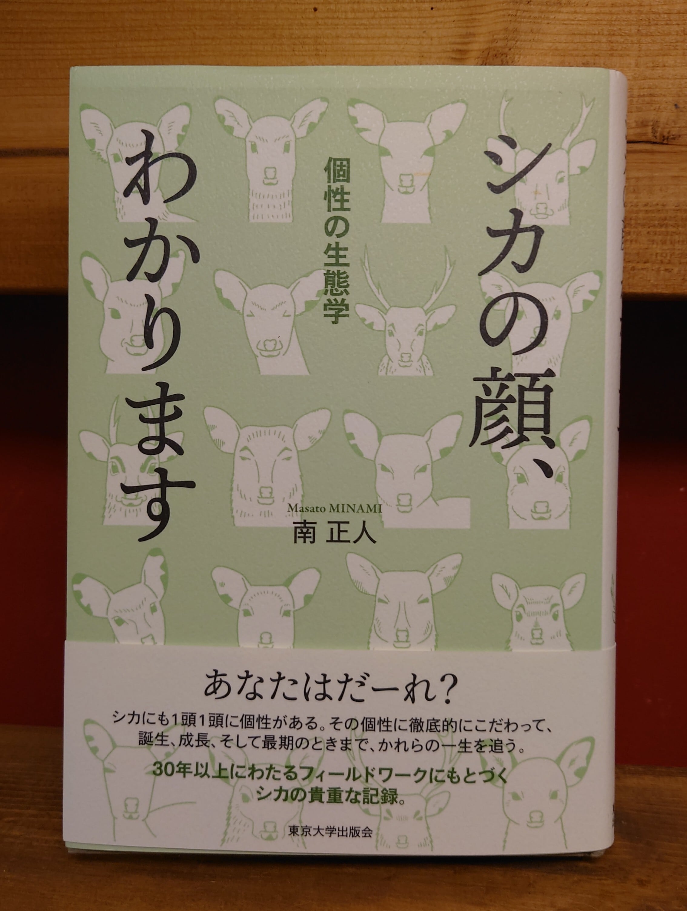 シカの顔、わかります 個性の生態学 | 弥生坂 緑の本棚