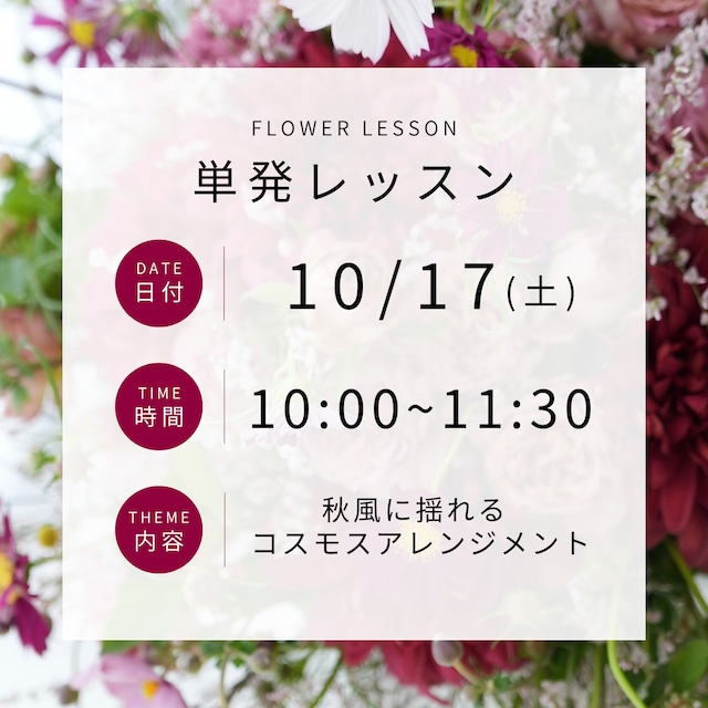 【10/17(土)】単発レッスン