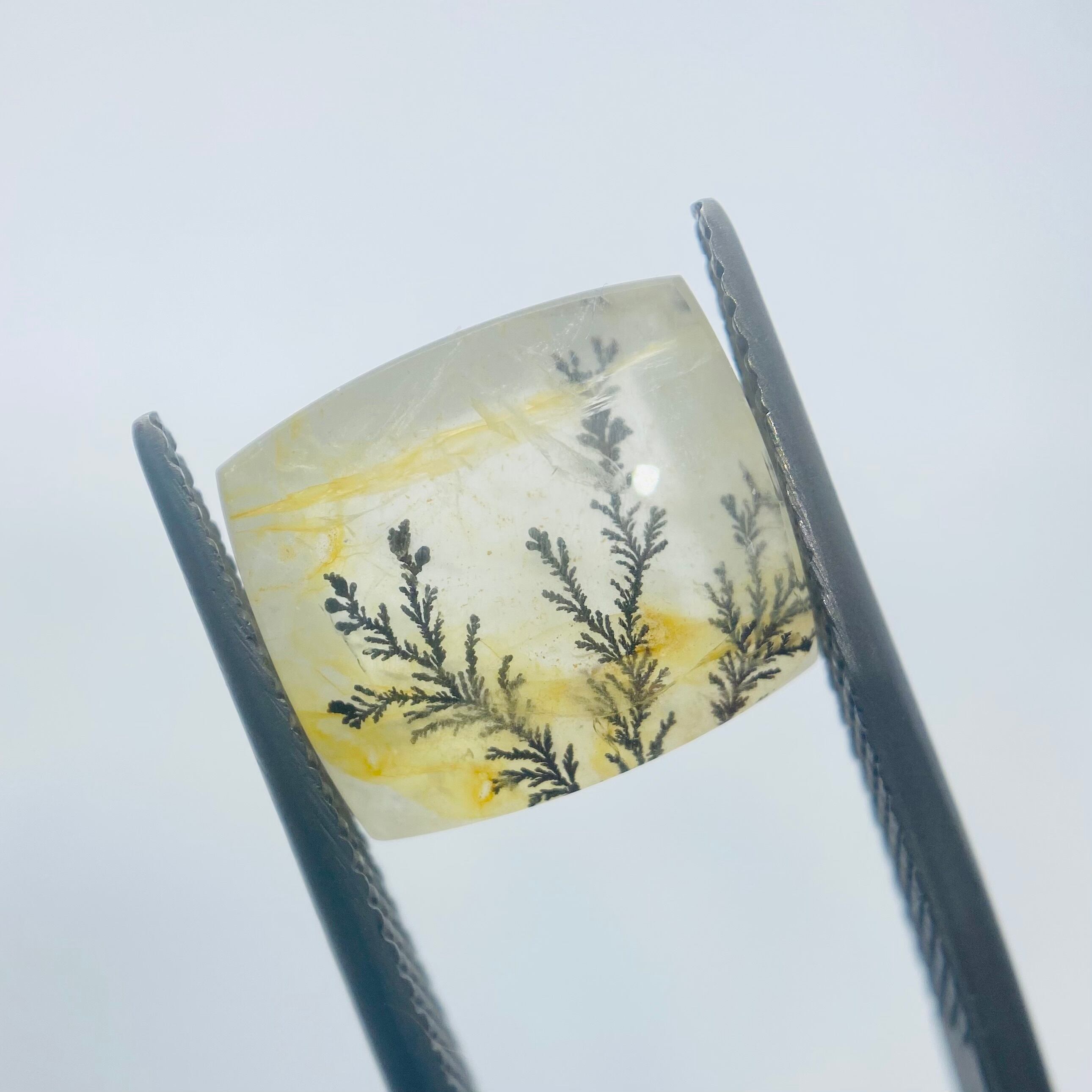 インスタライブでご紹介　デンドリティッククオーツ