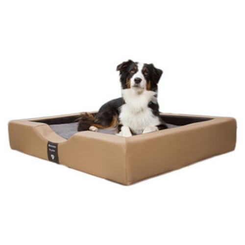 ゲル コンパクト（Small size）　大型犬　　中型犬　犬ベッド