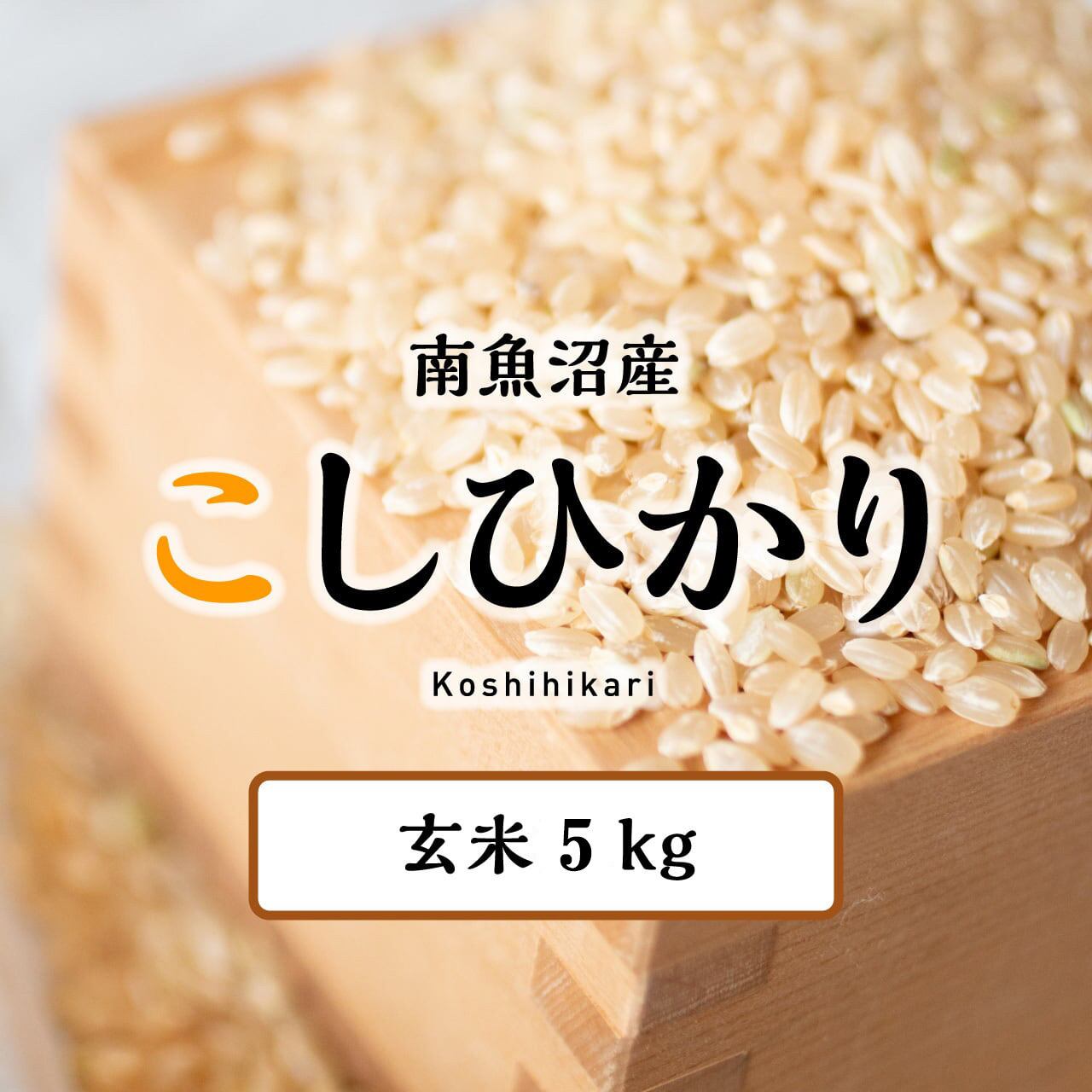 令和7年産 新潟県産コシヒカリ30kg玄米 | Pay ID