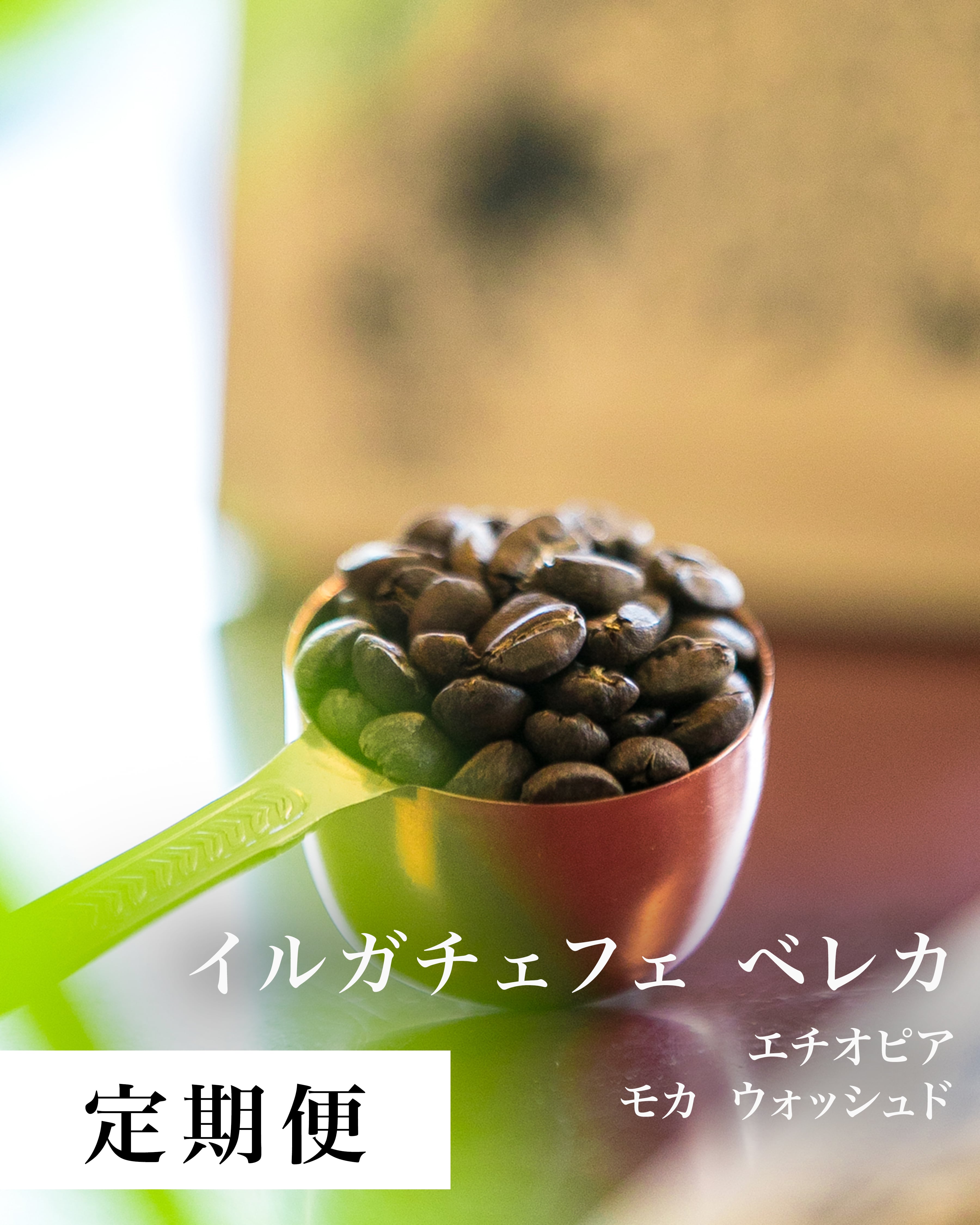 【定期】エチオピア モカ イルガチェフェ ベレカ G1 180g