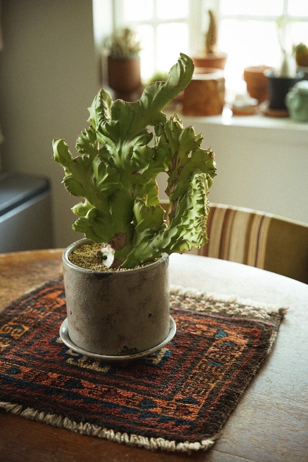 681 -Vintage Maldari rug