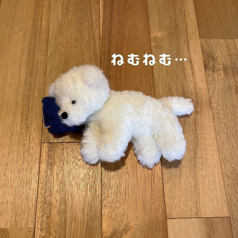 おやすみわんこ | もふいぬ