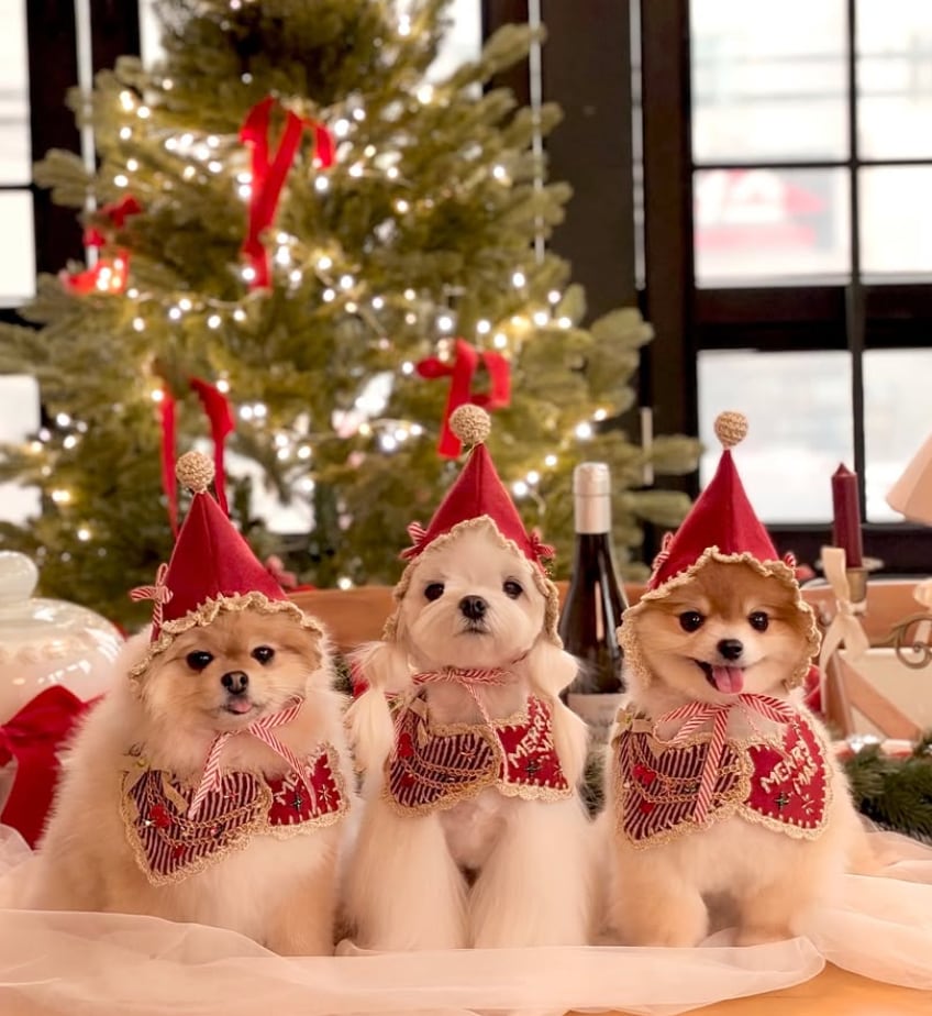 予約【lebooleboo】Christmas lebooleboo Cape 2026Ver