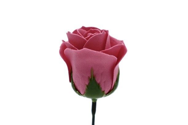 パステルバラT-P7 ニューヨークピンク (15輪入りor25輪入り)