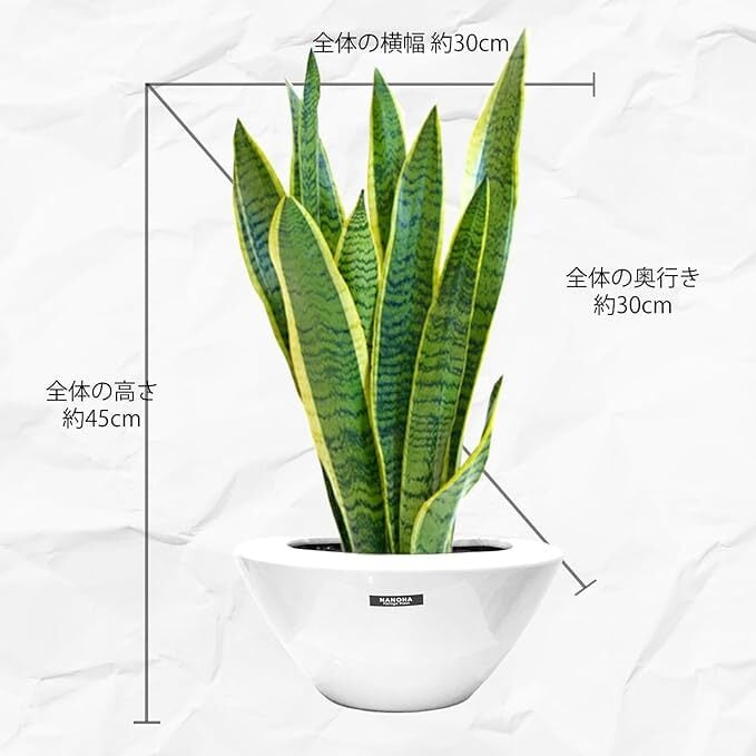 9b6e167ce09584b40f02856f56496d