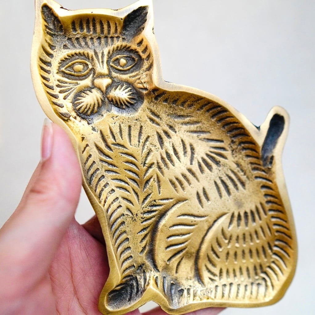 ブラストレイ キャット | Forest cat