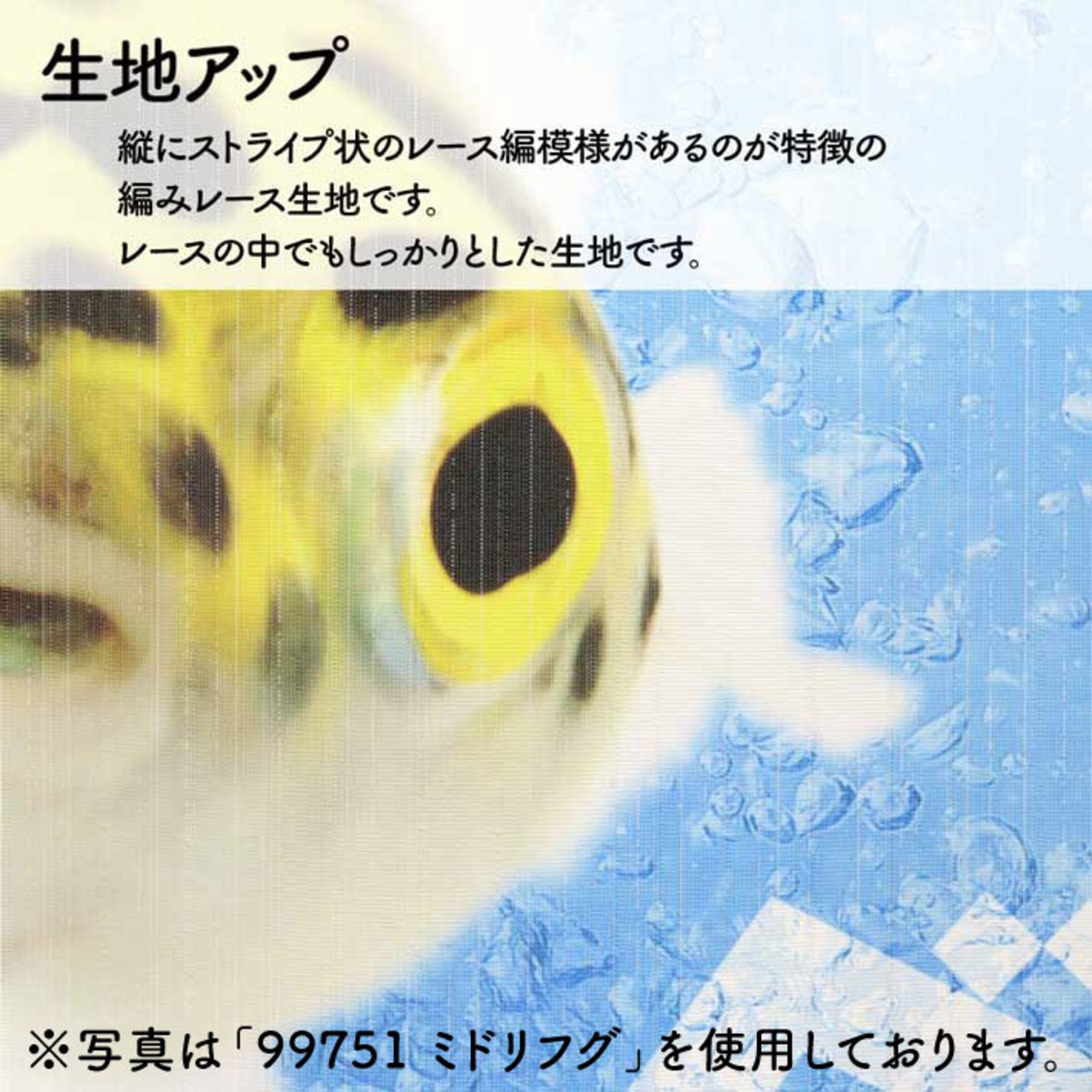 【受注生産】のれん うおづら  更紗蘭鋳 幅85ｘ丈90cm　99737