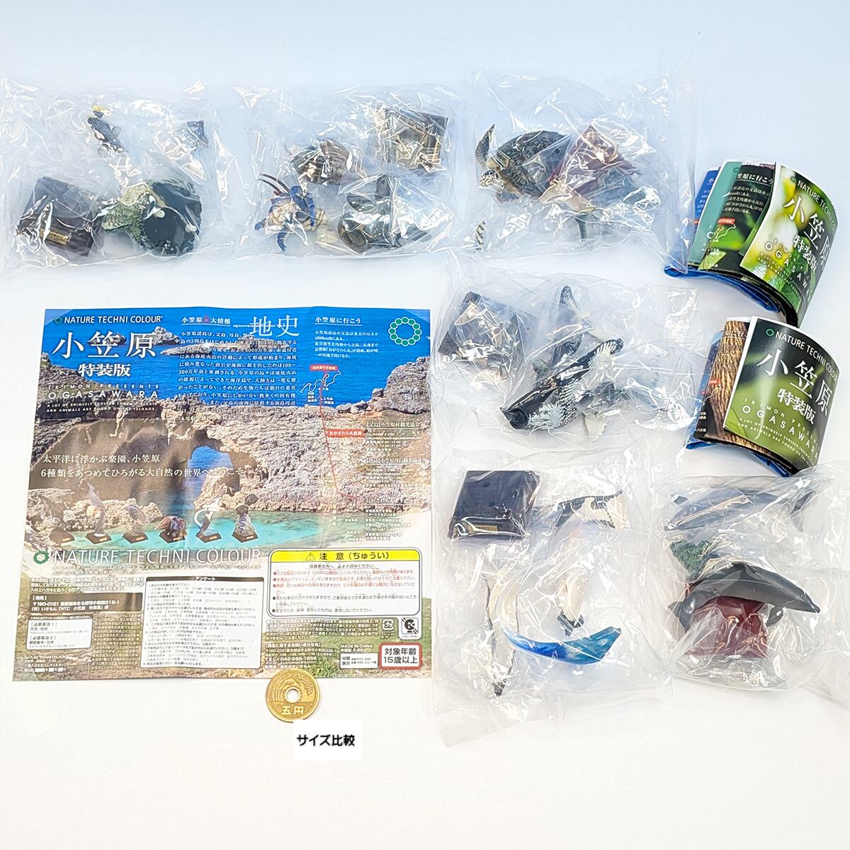 コブシメ　ネイチャーテクニカラー　ガチャガチャフィギュア 美品 ネイチャーテクニカラー 鳥羽水族館 コブシメ 立体コレクション