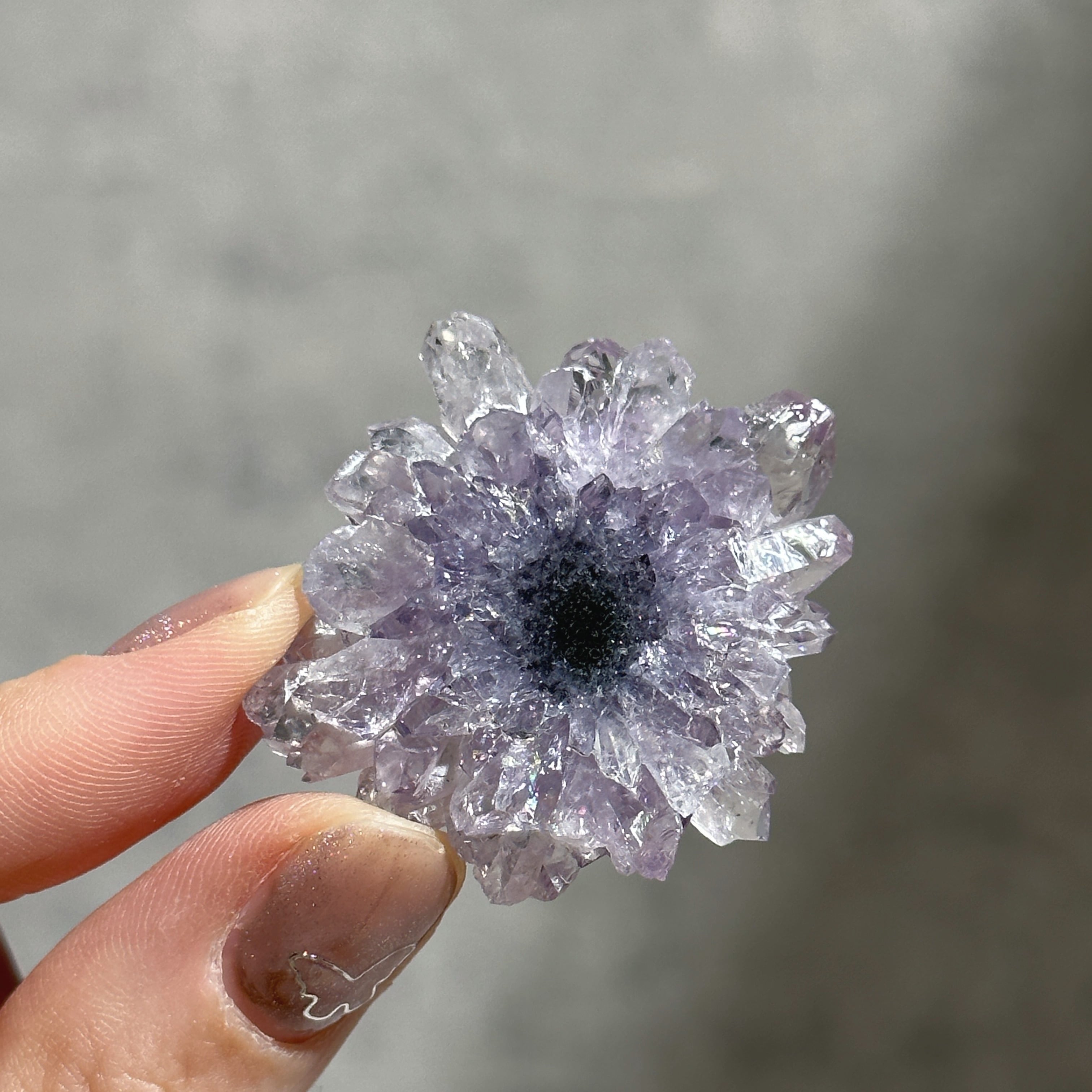 フラワーアメジスト スライス23◇ Flower Amethyst ◇天然石・鉱物