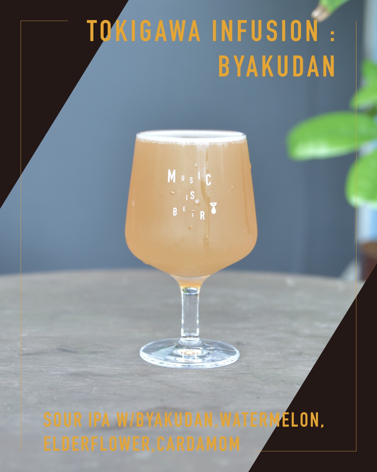 ＜Tokigawa Infusion : Byakudan  // トキガワ インヒュージョン：ビャクダン＞ 500ml缶
