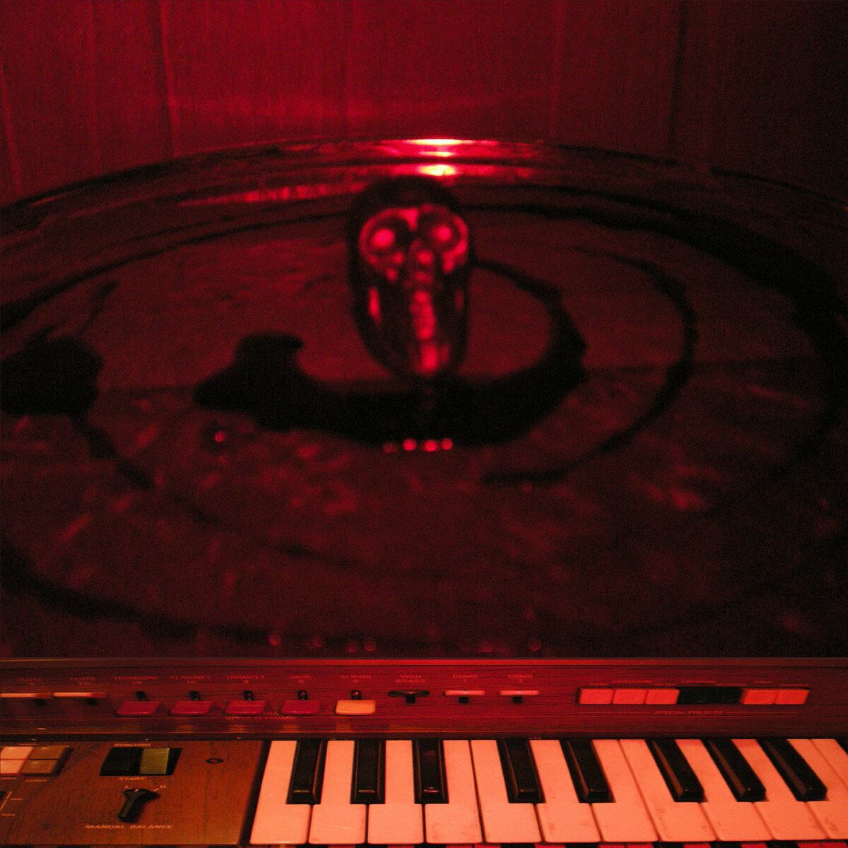 Mathew Lee Cothran / My First Love Mends My Final Days（400 Ltd LP）