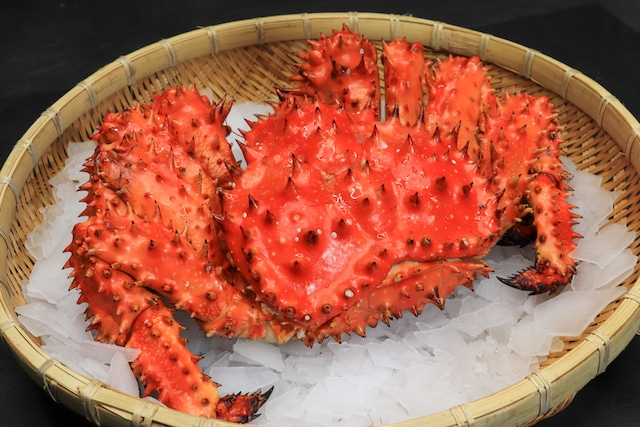花咲蟹１kｇ前後　１尾（ボイル冷凍）2人前　※蟹をメインで食すには丁度いい量