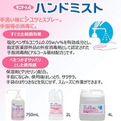 【業務用 大容量】 サニテートAハンドミスト 手指消毒液 750ml (指定医薬部外品) 本体 ボトル 手指消毒用アルコール 手指消毒スプレー アルコール消毒液 手指消毒剤 詰め替え 手指消毒スプレー