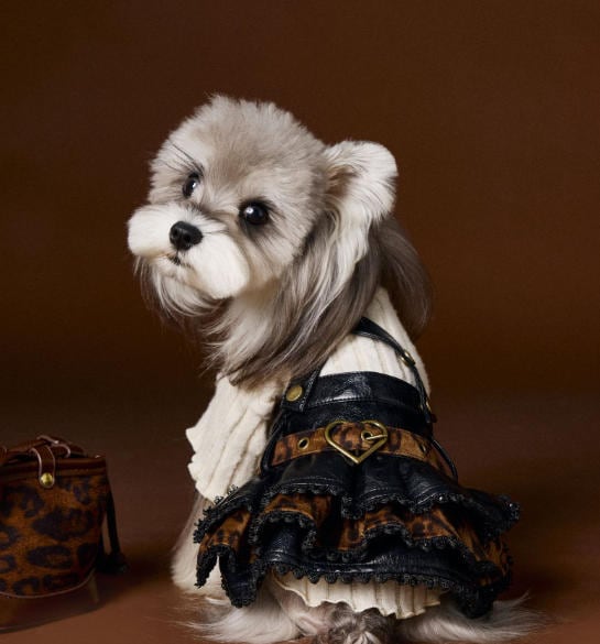 〖予約〗3102444 ヒョウ柄フリルスカート