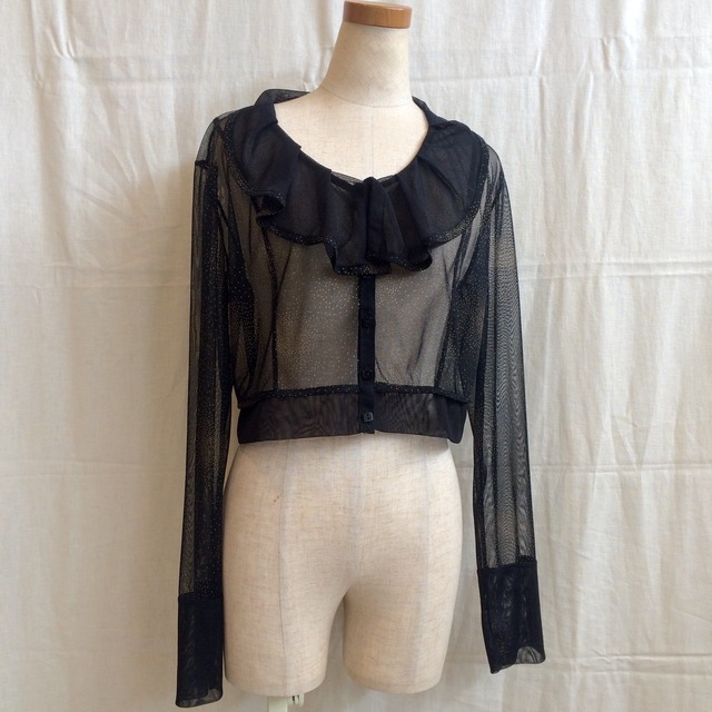 sheer cropped blouse