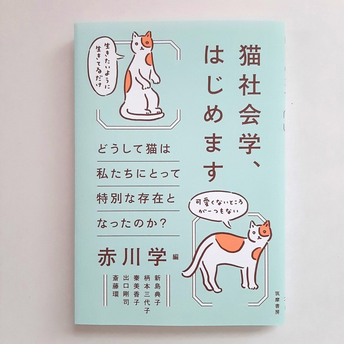 猫社会学、はじめます ——どうして猫は私たちにとって特別な存在となっ