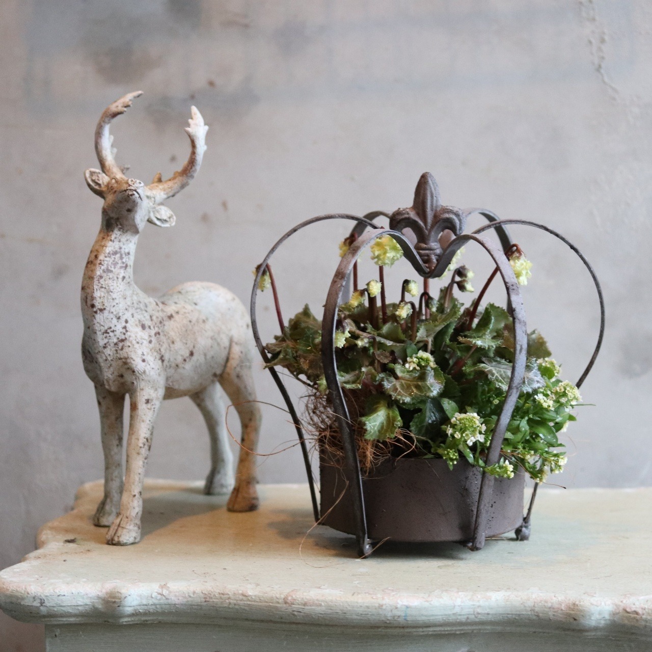 冬から春に楽しむ寄せ植え　シクラメン森の妖精クラウンポット　届いてすぐ玄関に飾れる 　プレゼントにもオススメ　