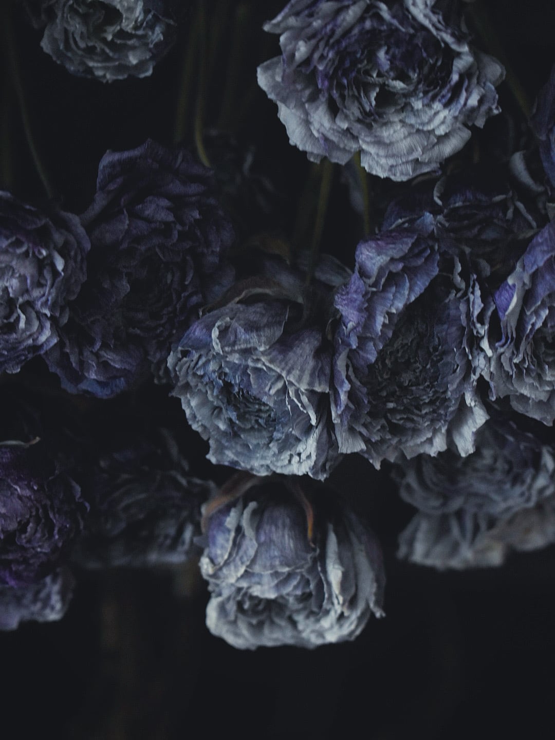 ※No,77 she is matilda. special order dryflower swag