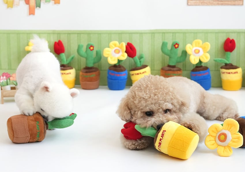 gardening snack toy  / ノーズワーク ペット 犬 おもちゃ 音が鳴る 知育玩具 ノーズワーク おやつ隠し 可愛い わんちゃん ストレス解消 インスタ映え