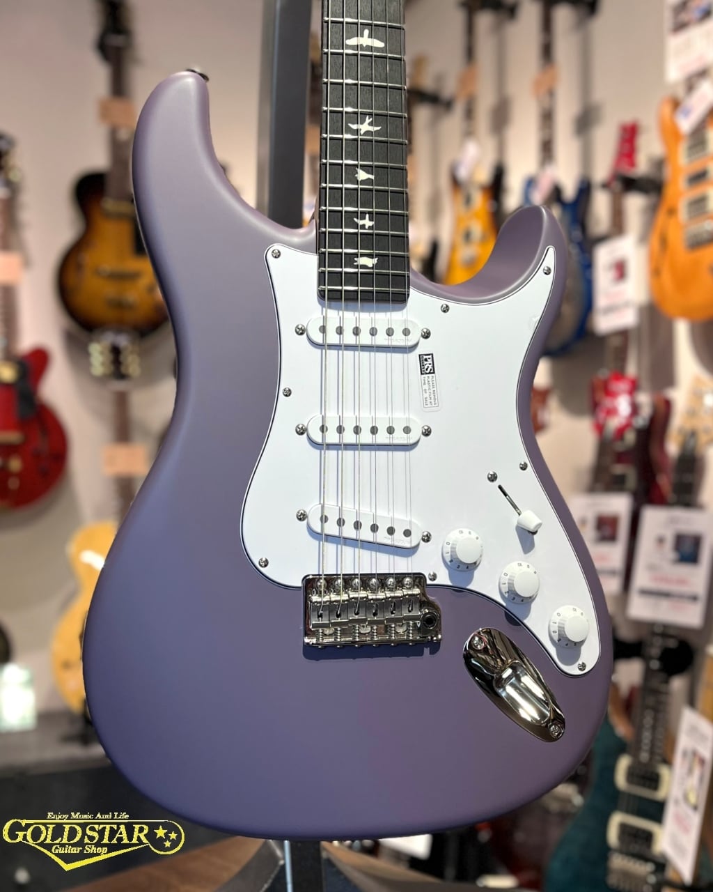 PRS / Tone Pot, 250k (Silver Sky) | ギターショップ GOLD STAR (WebShop)