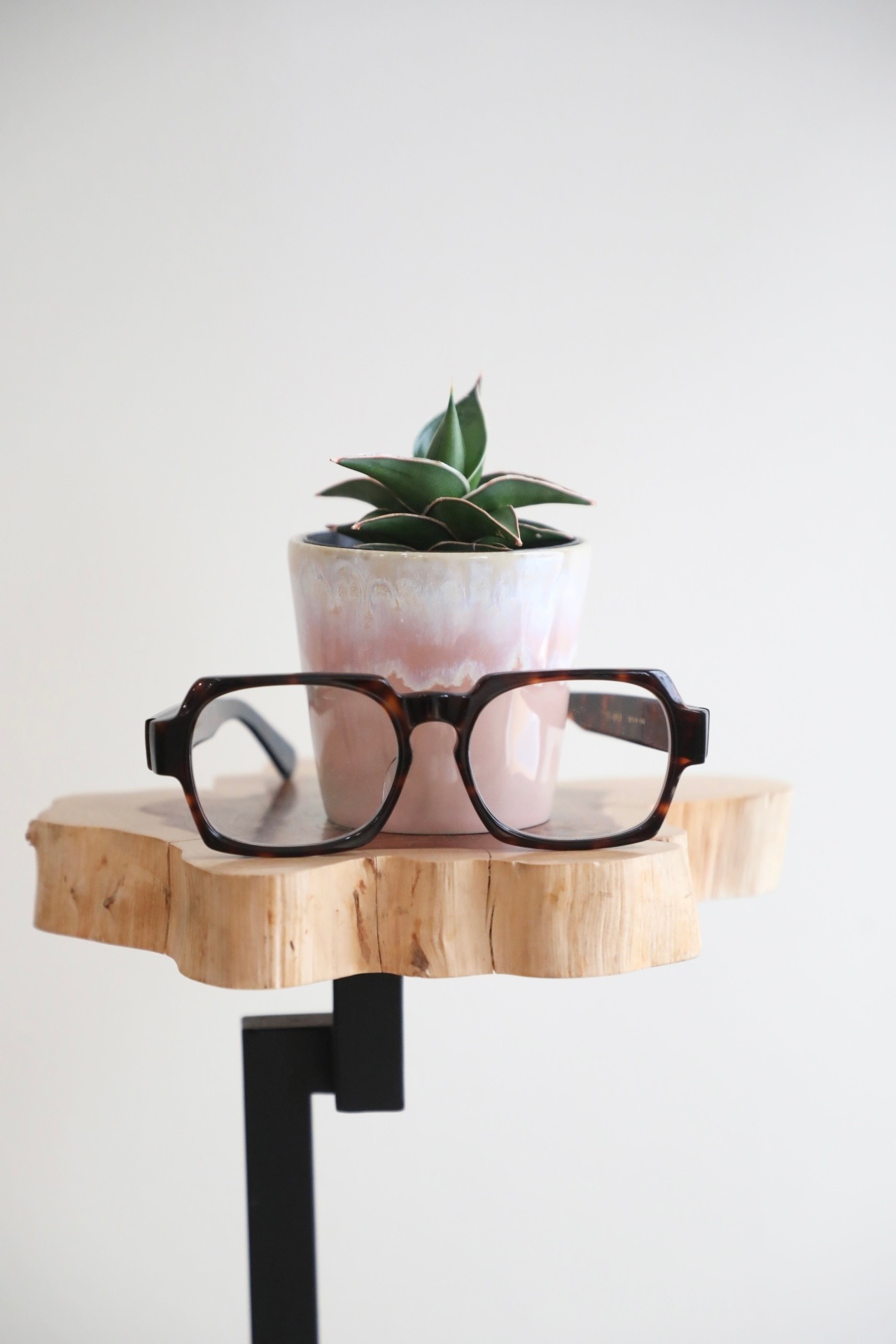 【S】サンスベリア ラブラノス/Sanseveria Lavranos　※陶器鉢カバー付き