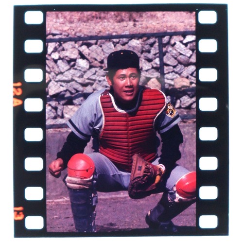 2449G2 田淵幸一 阪神タイガース 1970年代 古写真 35mm ポジフィルム プロ野球 昭和レトロ ヴィンテージ