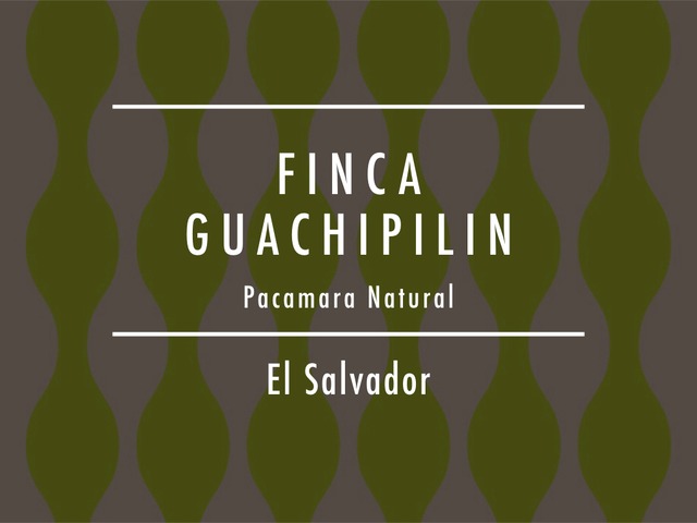 【200g】エルサルバドル / FINCA GUACHIPILIN Pacamara Natural