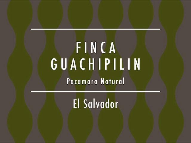 【200g】エルサルバドル / FINCA GUACHIPILIN Pacamara Natural