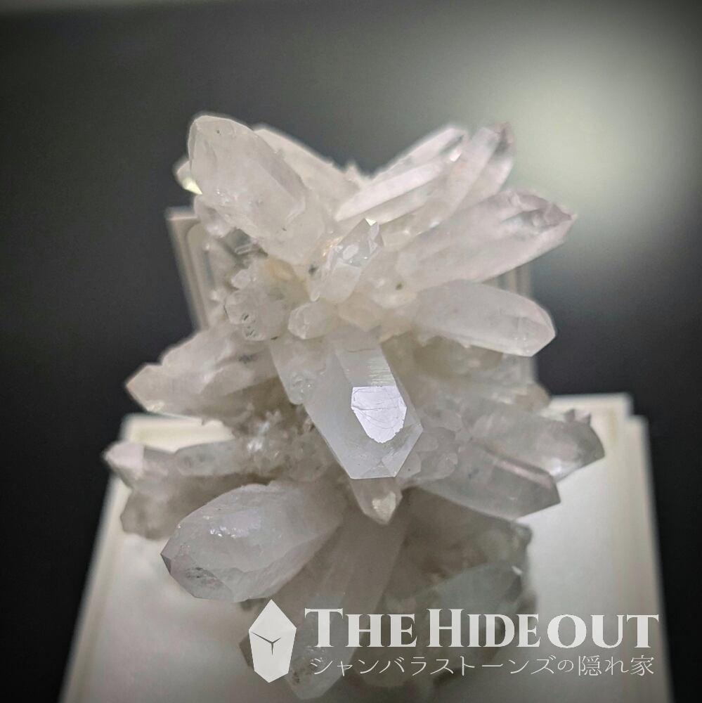 日本国産鉱物標本034 宮崎県臼杵郡日之影町乙ヶ淵（苔土フォイト電気石